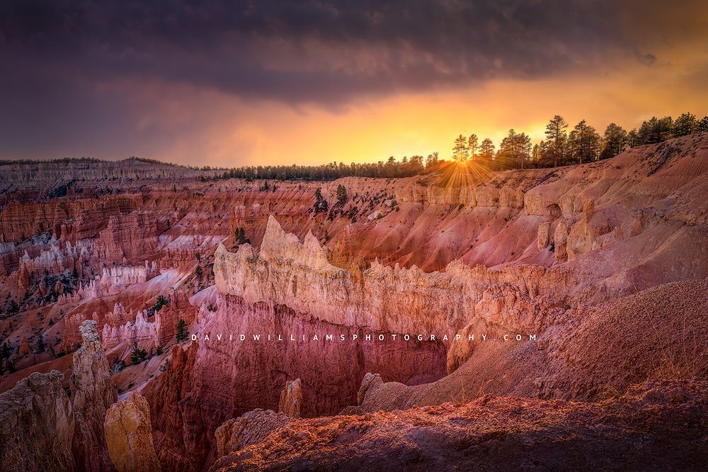 Stormy skies as the sun peaks through the trees in Bryce Canyon Nation Park, Utah