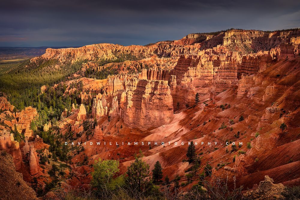 Sunlit hoodoos in Sunset Point at sunset, Bryce Canyon National Park, Utah