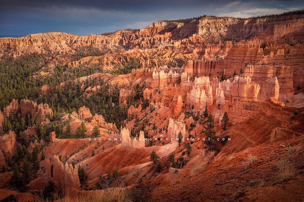 Dappled sunlight over Sunset Point, Bryce Canyon National Park, Utah