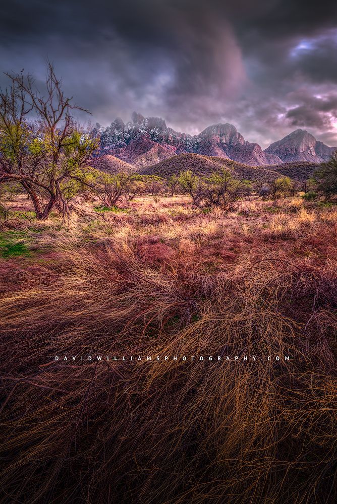 Pastel colors in Winter, Catalina Mountain Range, Tucson, Arizona