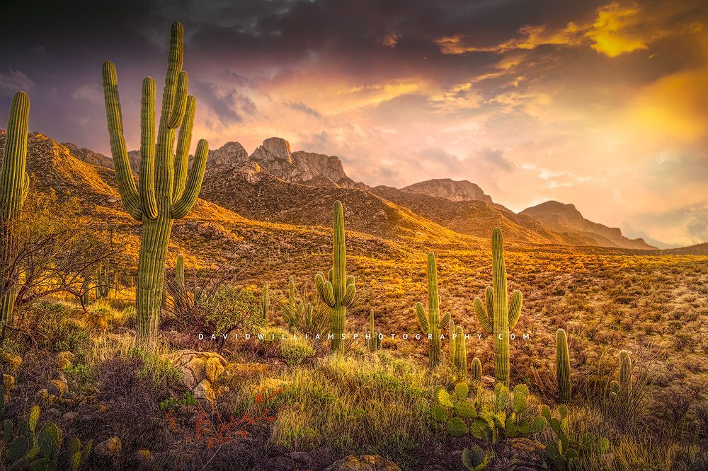 A brilliantly colored Pusch Mountain Range, Catalina Mountains, Tucson, AZ