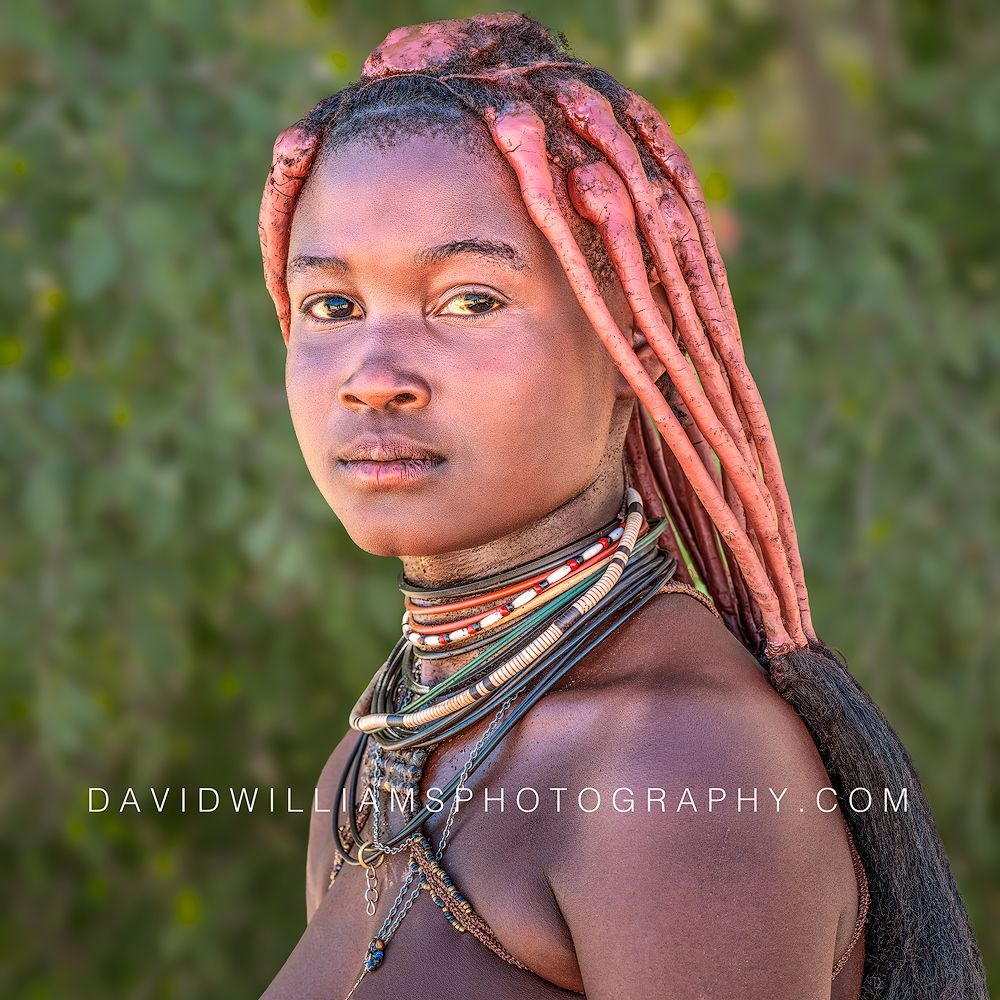 Shoulder-up portrait of a Himba woman showing traditional otjize-coated hair and handcrafted jewelry in Damaraland, Namibia.