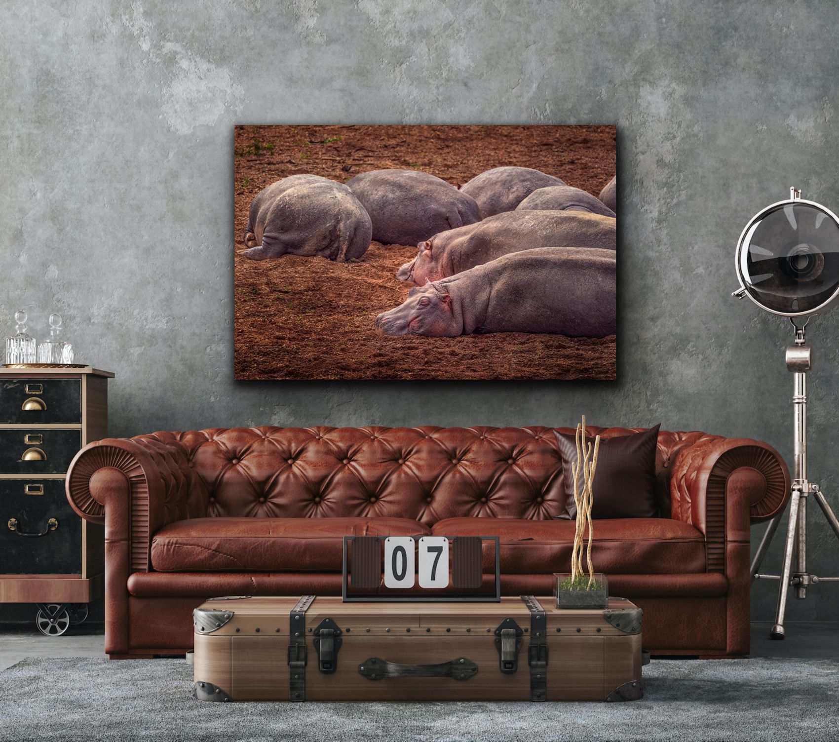 Example of image # Hippos GP BKT2324 on a wall in a home