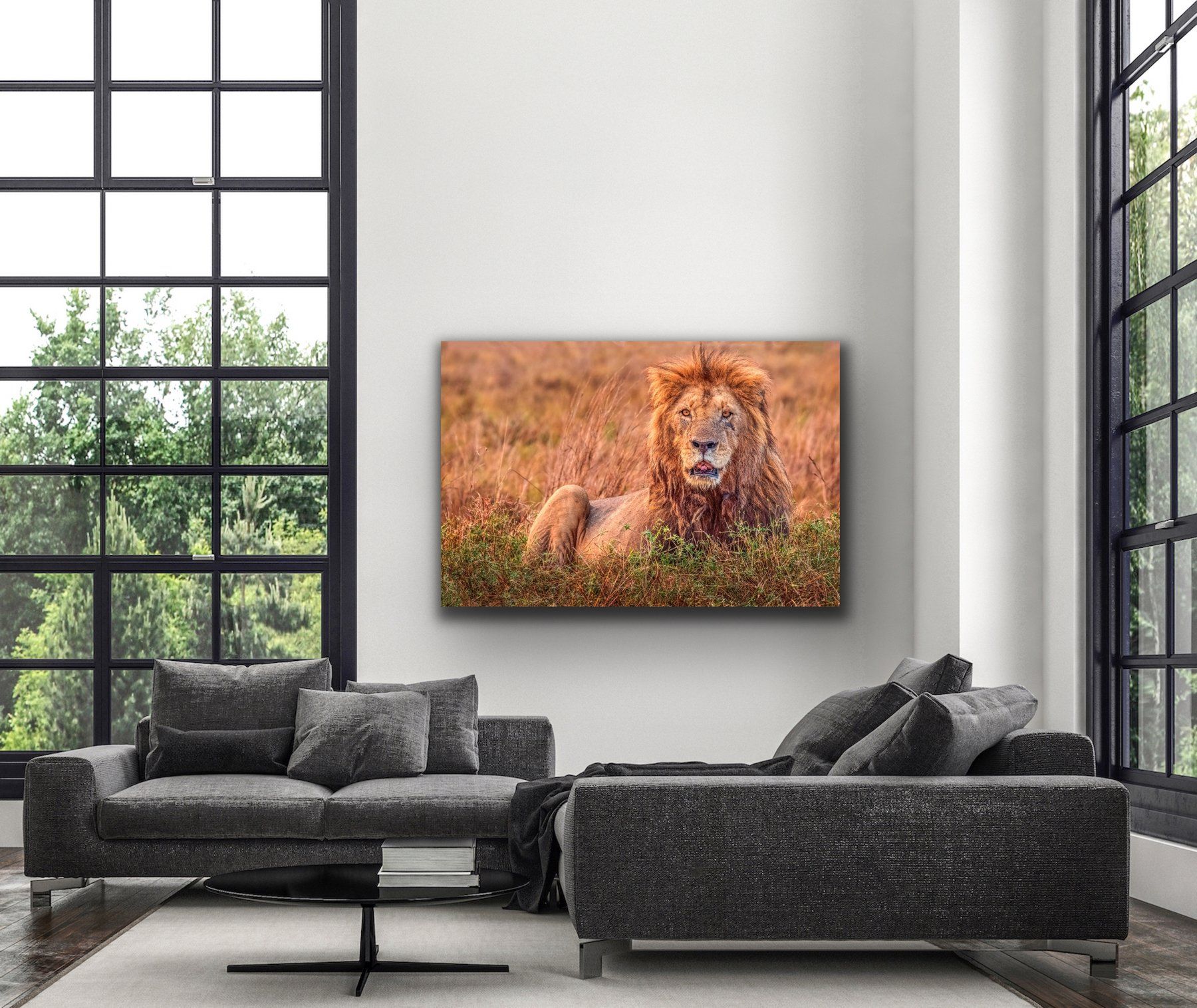 An example of image # Lion S BKT0604 on a wall in a modern home