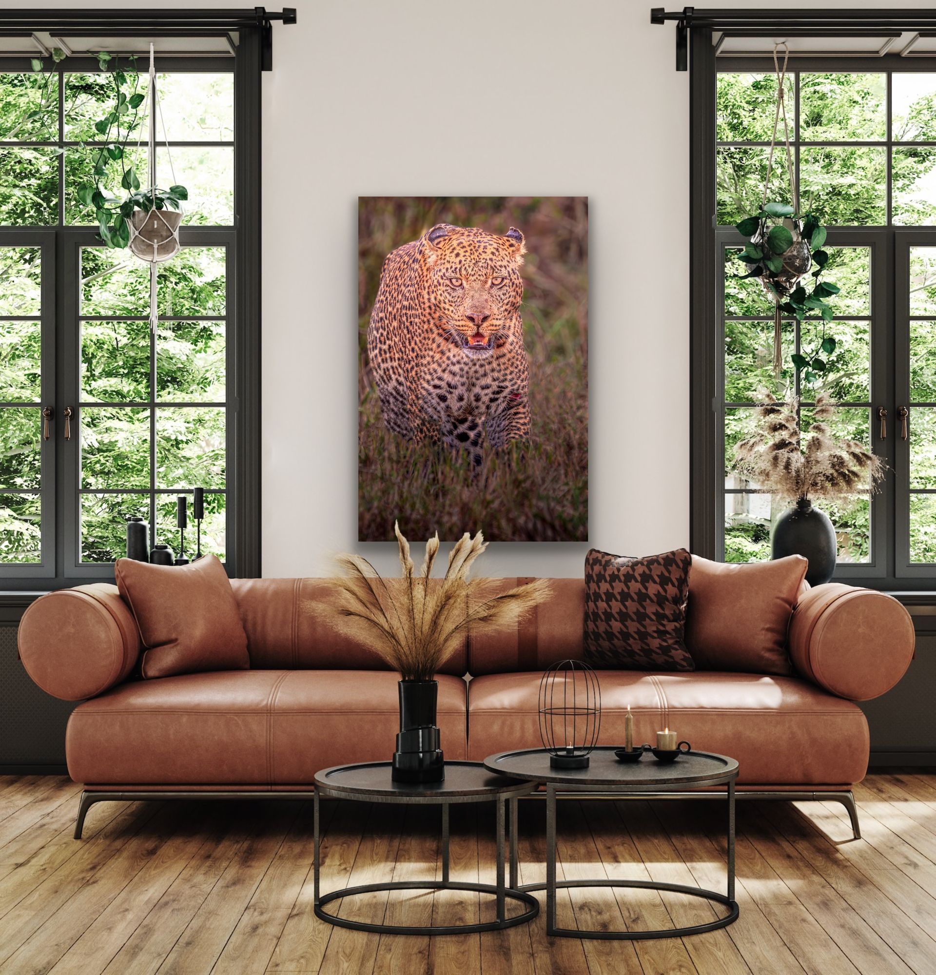 Image info: # Leopard S NZ91629 African Leopard – fine art print displayed in modern living room.