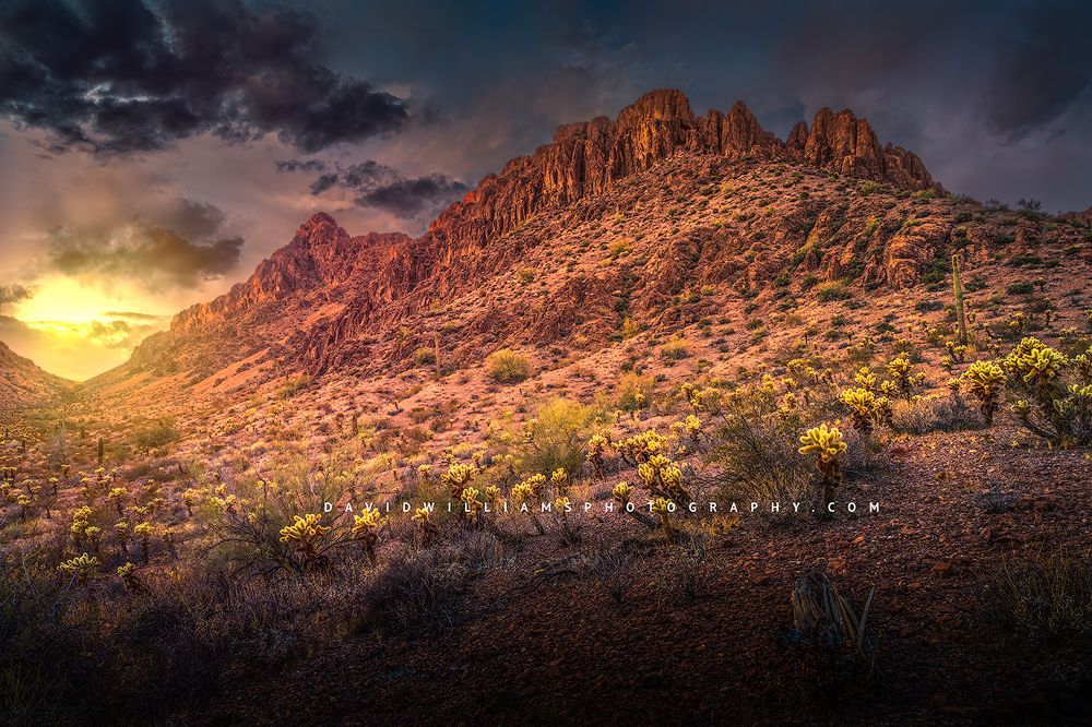 A colorful southwest desert sunset in Kofa National Wildlife Refuge, AZ