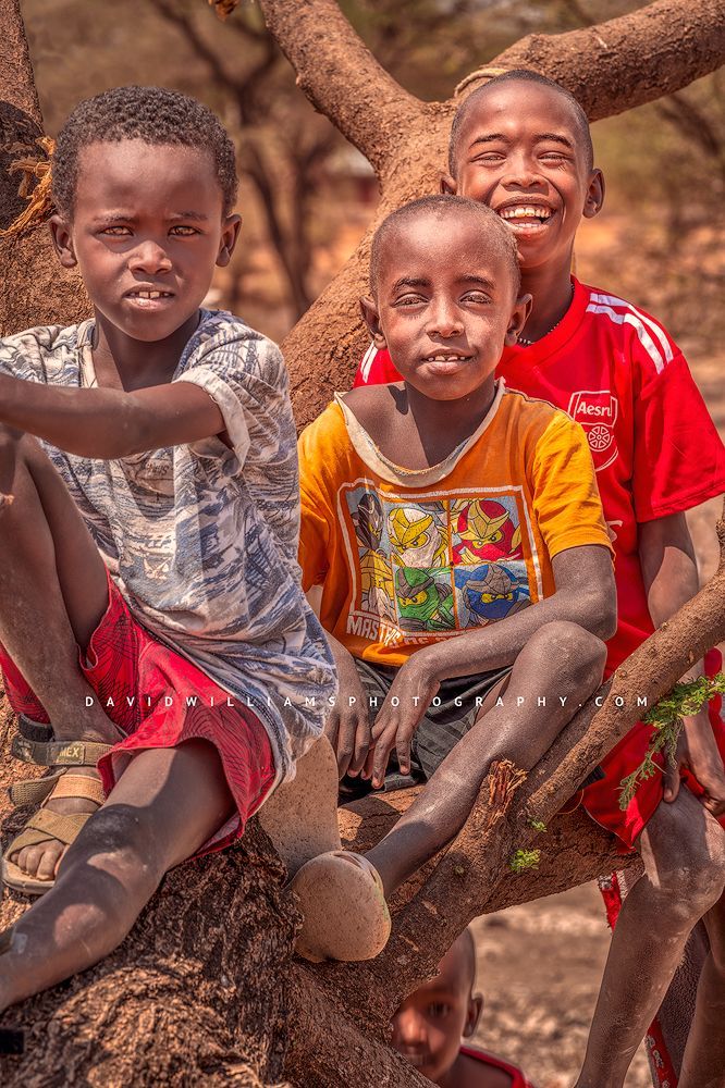 Maasai kids in a tree with happy smiles, Kenya, Africa