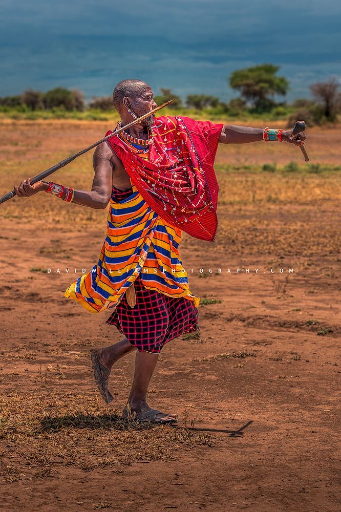 Handsome Maasai Warrior throwing his spear, Kenya