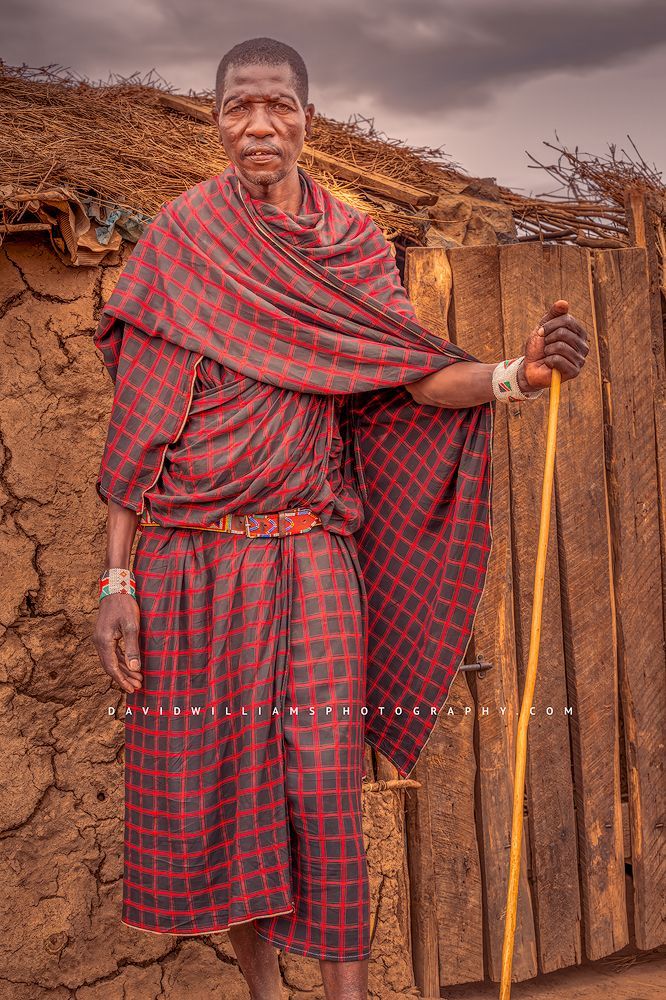 A portrait of a Maasai Warrior with eng'udi walking stick, Kenya, Africa