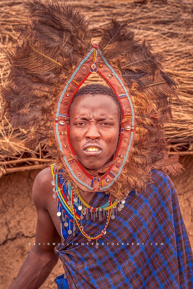 A Maasai Warrior in feather and beaded headdress, Kenya, Africa