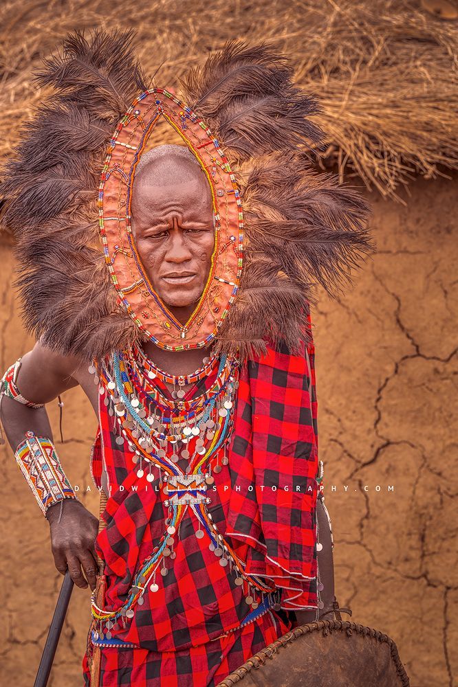 A Maasai Warrior in feather and beaded headdress, Kenya, Africa