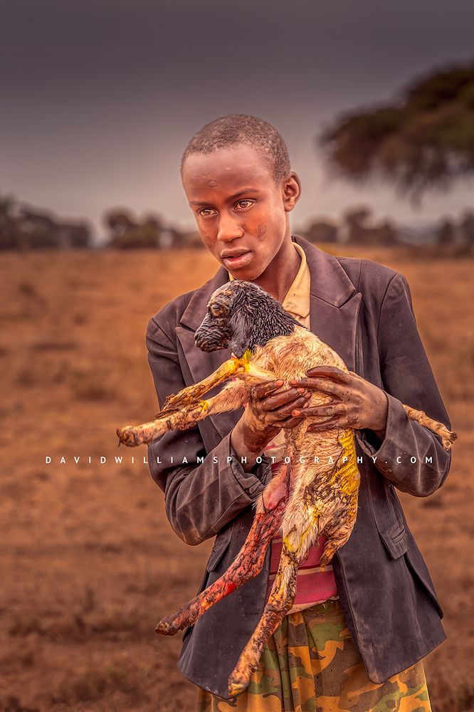 Maasai male proudly carrying a newborn goat, minutes after birth, Kenya, Africa