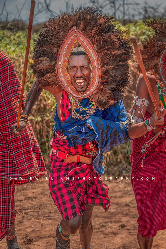 A Maasai Warrior in full feather and beaded headdress, Kenya, Africa
