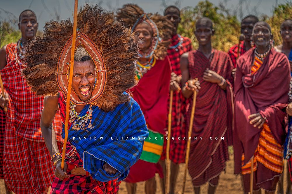 A Masasi Warrior performing dance in headdress, Kenya, Africa