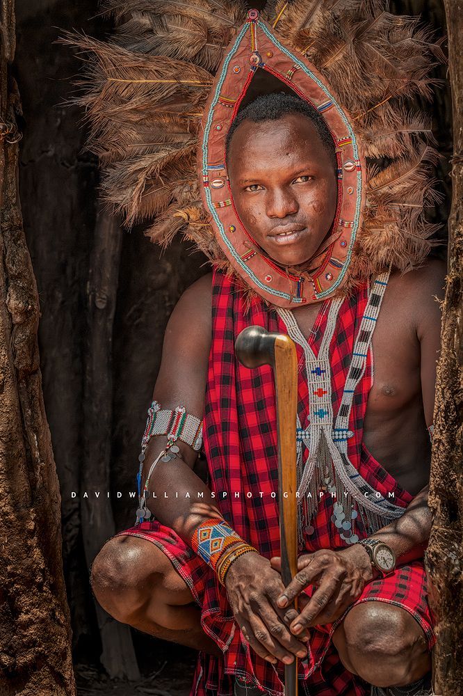 A Maasai warrior in traditional clothing and headdress, Kenya