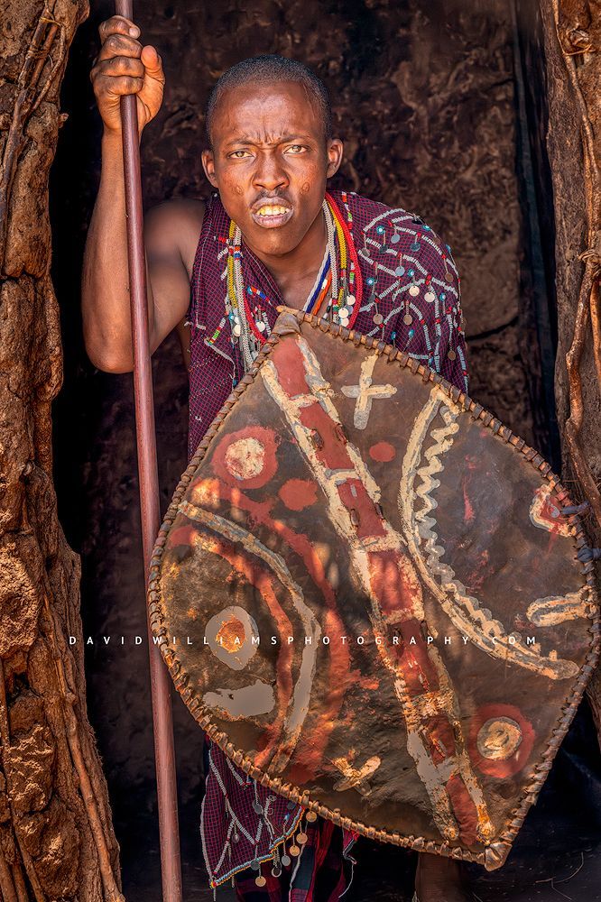 A Maasai Warrior with elongo shield and spear, Amboseli