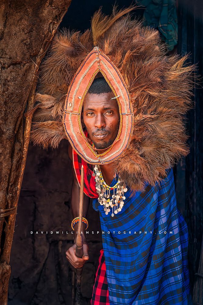 A Maasai Warrior with a spear and a headdress, Amboseli, Kenya