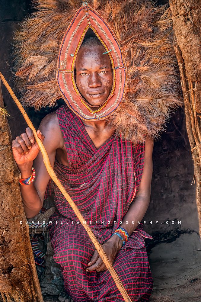 A Maasai Warrior with a beautiful feathered headdress, Kenya