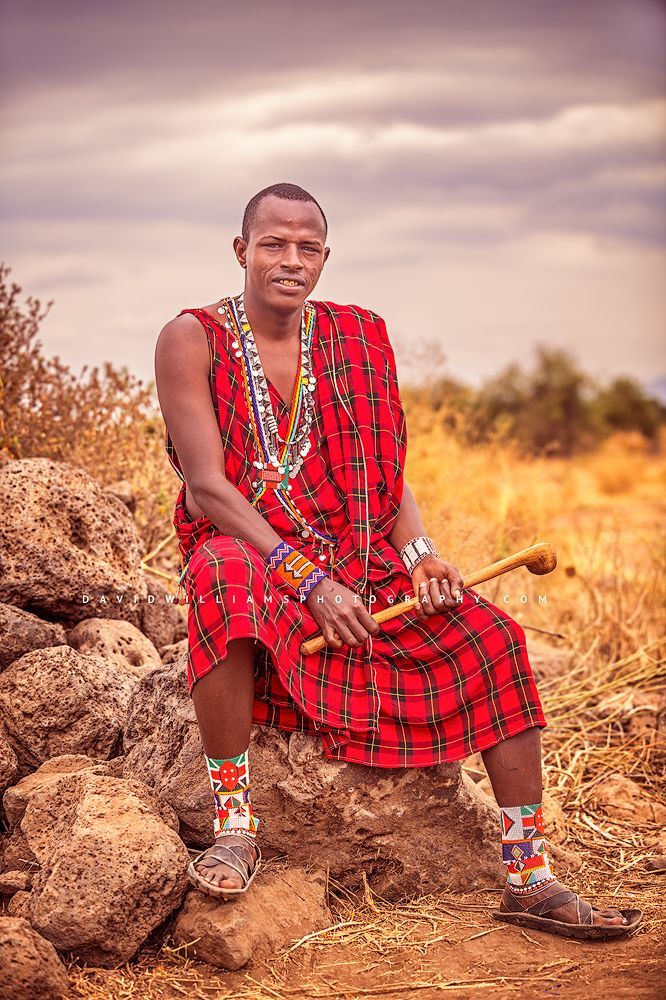 A portrait of a Maasai Warrior holding his rungu warrior club, Kenya, Africa
