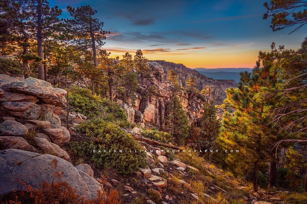 Fall colors in this colorful sunrise in the mountain range of Mogollon Rim, AZ