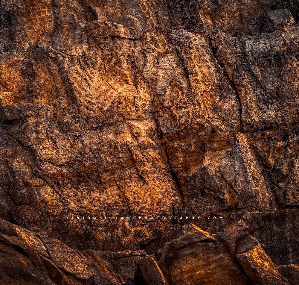 Ancient Native American Hohokam petroglyphs, Saguaro, AZ