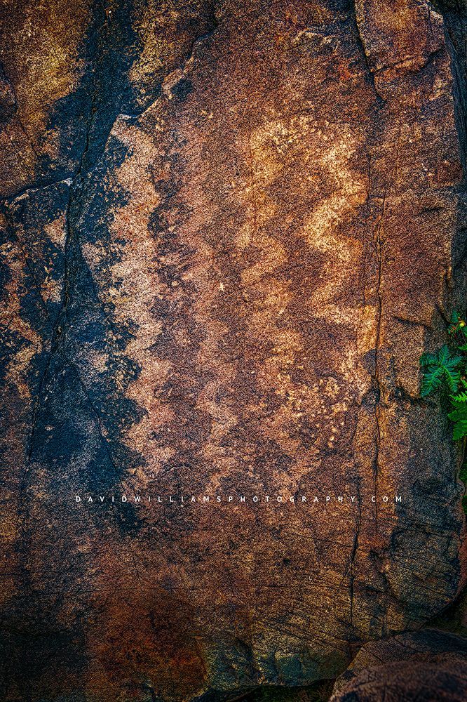 Native American ancient Hohokam petroglyphs, Saguaro, Az