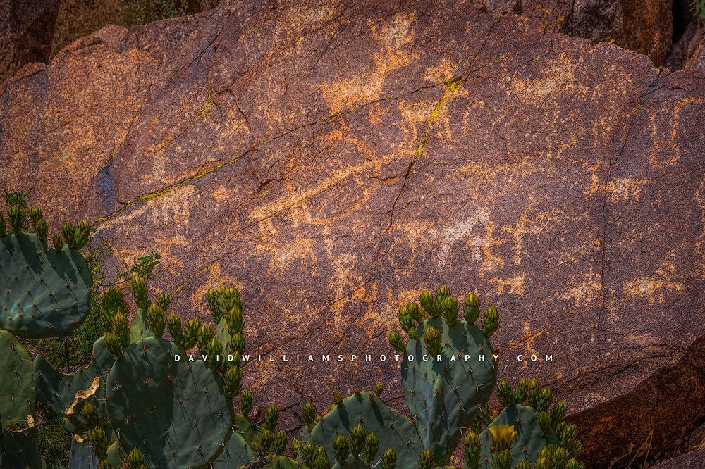 Petroglyphs at Badger Springs Park,  Agua Fria, Arizona