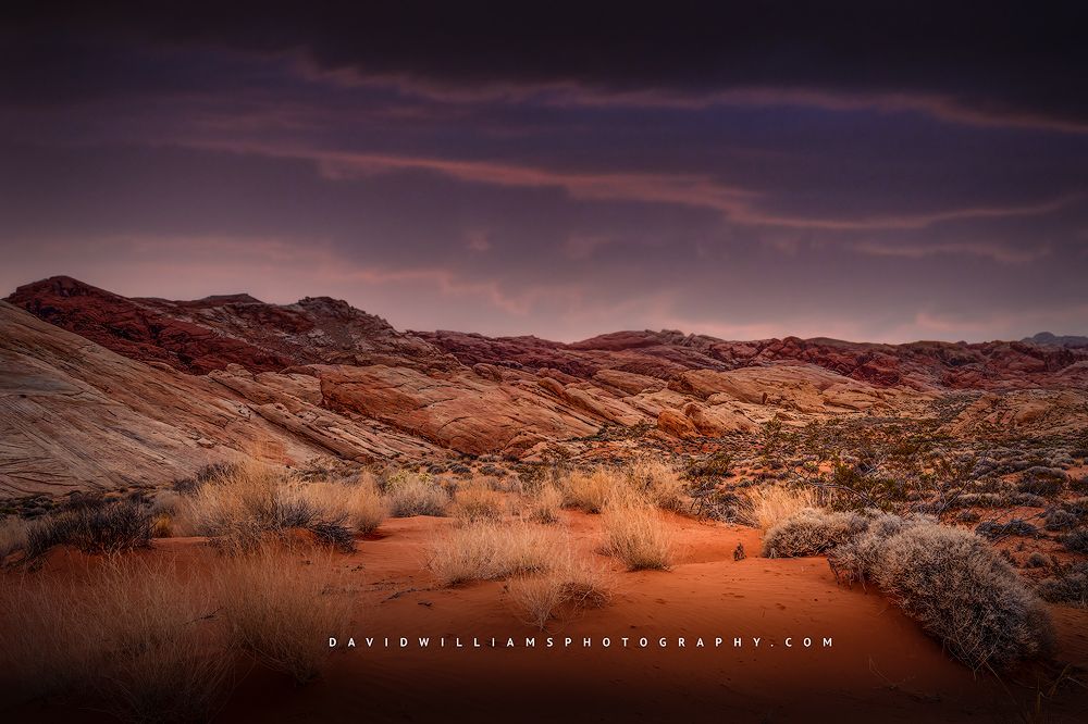 Sunset over sand dunes, Valley of Fire State Park, Nevada