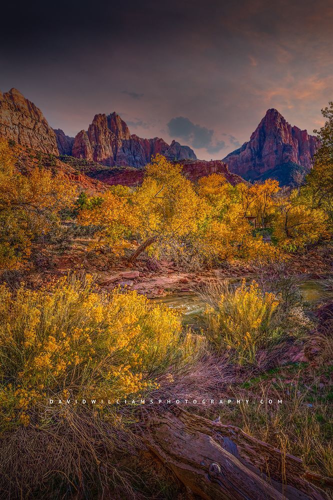 Fall season surrounding Watchman Tower, Zion National Park, Utah