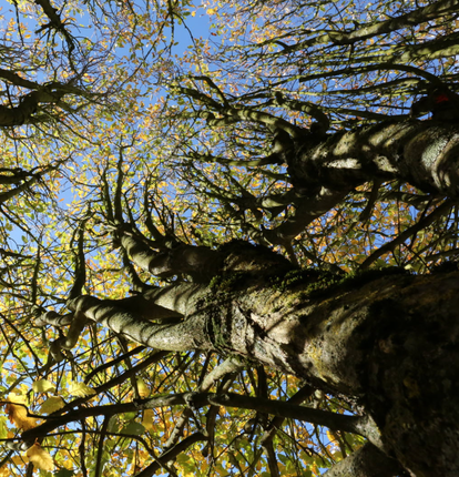 Menuiserie Vautier, fabrication traditionnelle bois, 95, 78, 92, 93, 60, 80 , 27 Menuiserie Vautier, fabrication traditionnelle bois, 95, 78, 92, 93, 60, 80 , 27