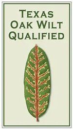 Oak Wilt Certified Tree Service Georgetown TX