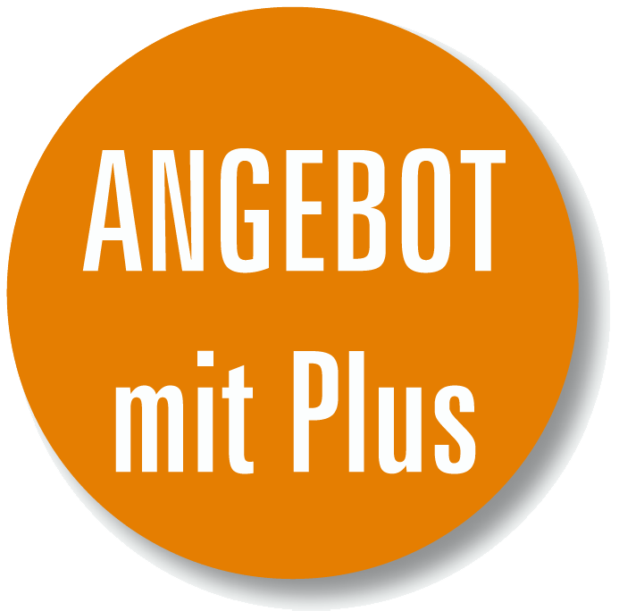 Angebot Website Check
