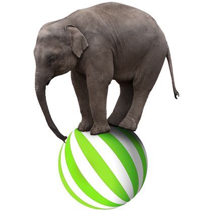 Marketing Agentur Karlsruhe Website