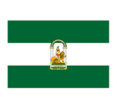 NORMATIVA DESFIBRILADORES ANDALUCIA NORMATIVA DESFIBRILADORES ANDALUCIA