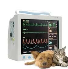 Monitores veterinarios profesionales para clínicas y hospitales veterinarios
