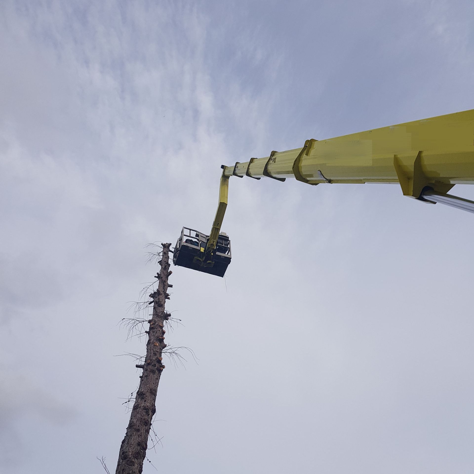 Sicherheitsfällung mit Hubsteiger