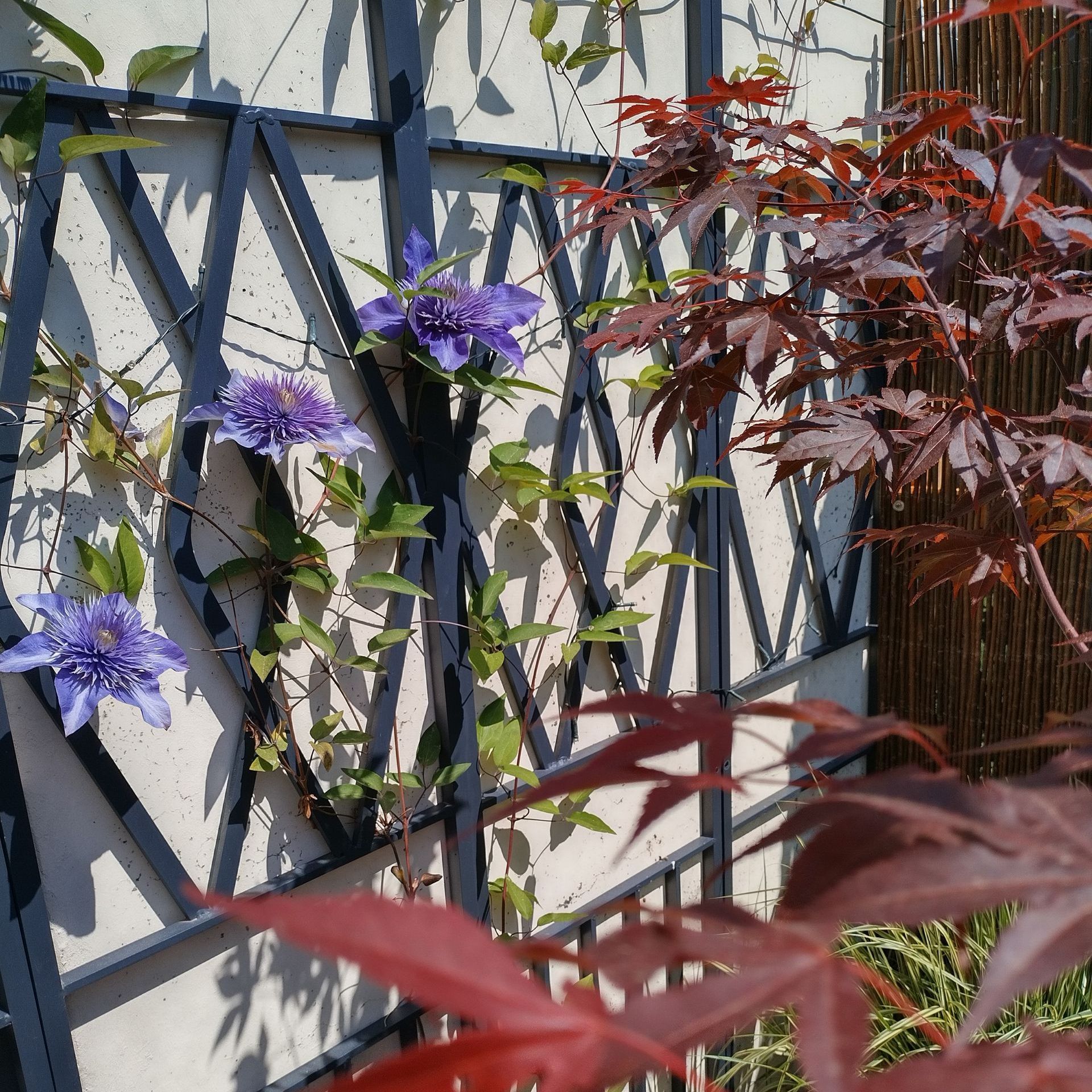 Rankgitter aus Metall als Garagenverkleidung