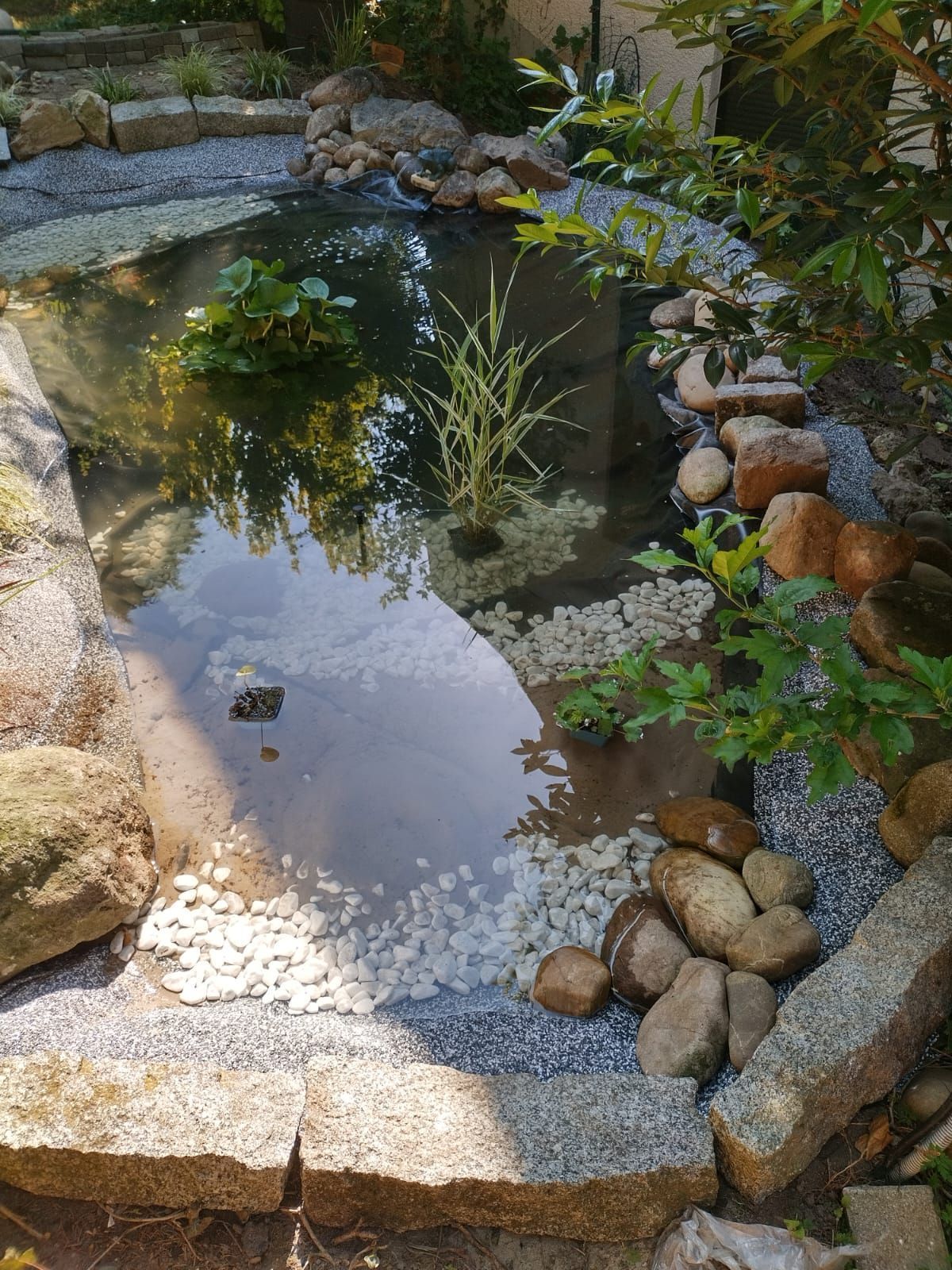 Fischteich mit Wasserspiel