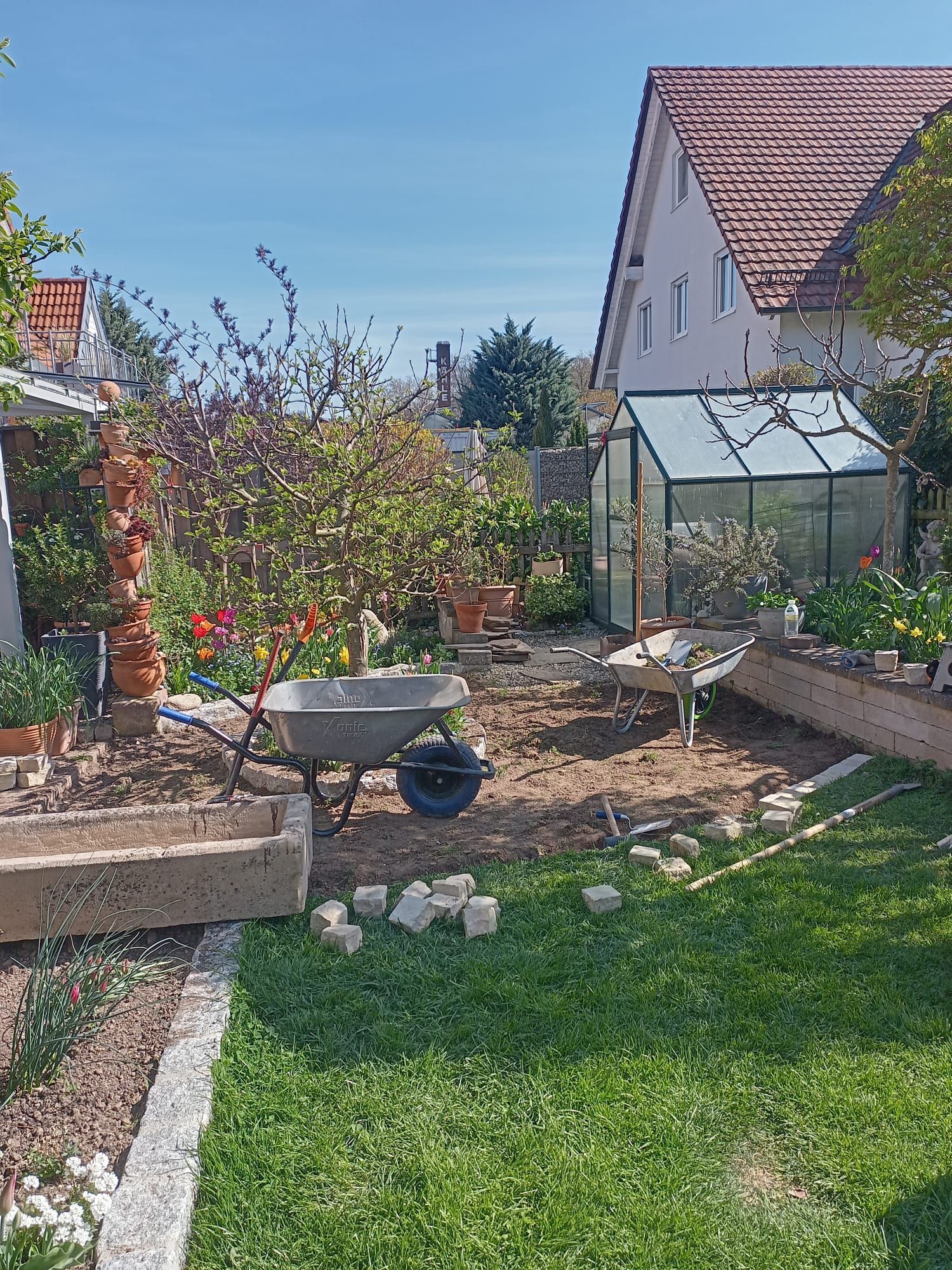 Neuanlage Hausgarten