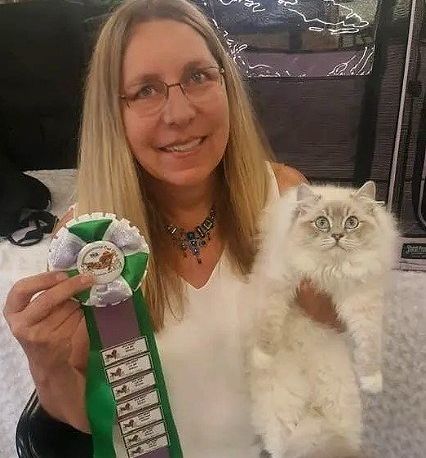 Rag doll breeder