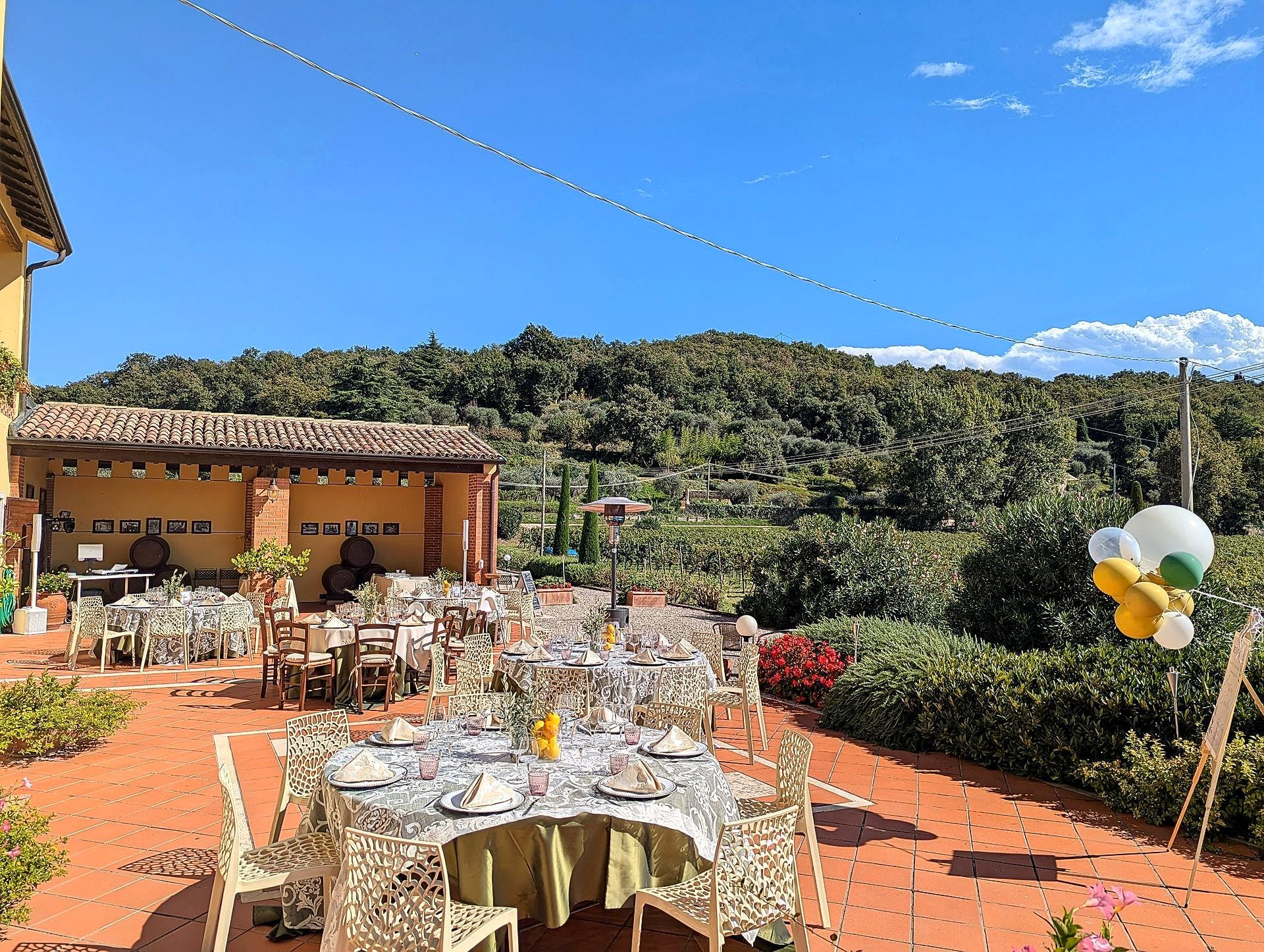 DJ Gardasee auf Geburtstag