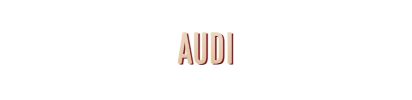 Event DJ für Audi
