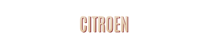 Event DJ München für Citroen