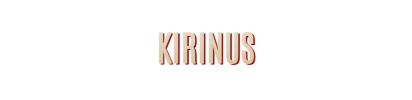 DJ für Weihnachtsfeier für Kirinus Gruppe