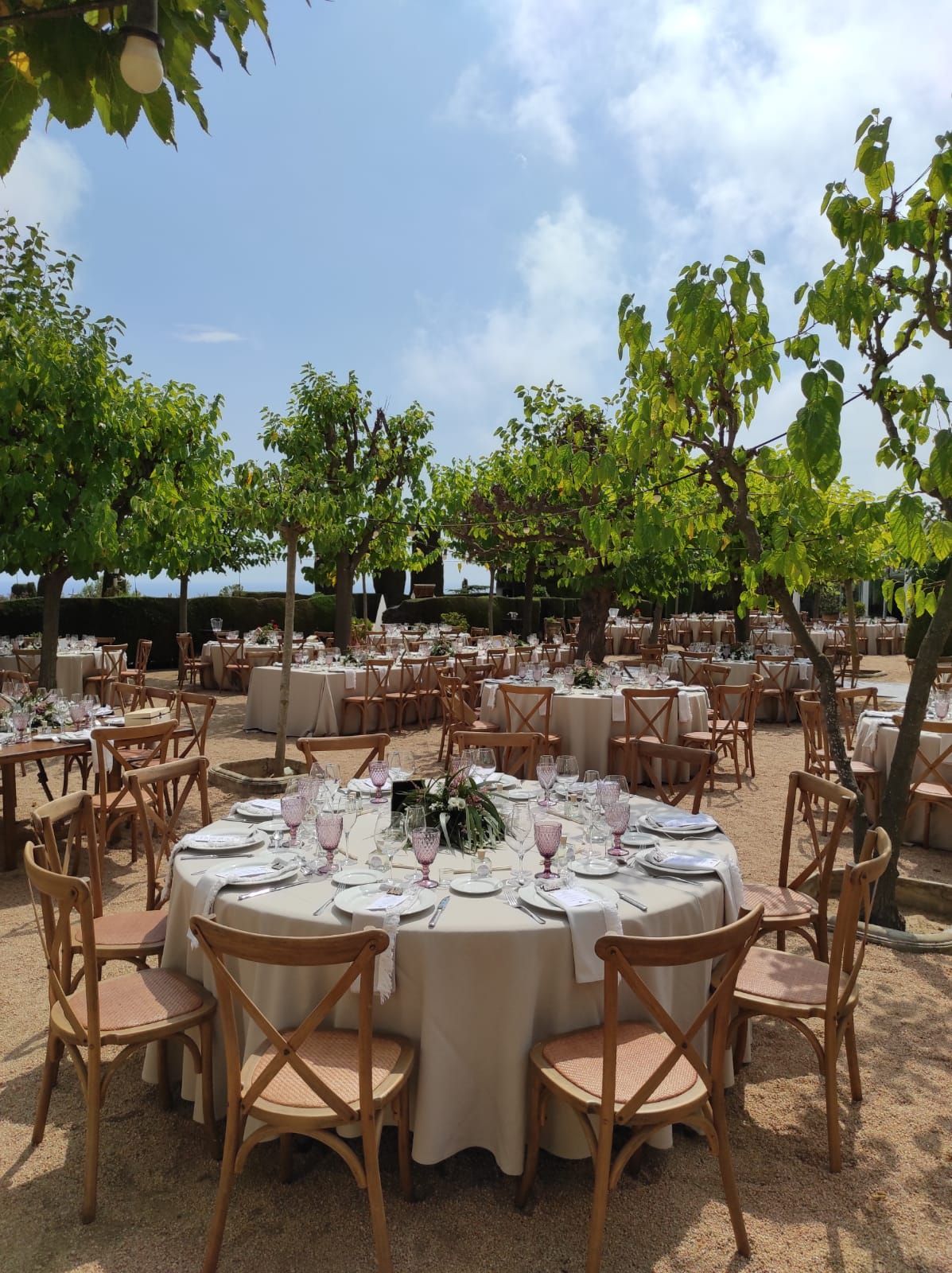 celebraciones en exterior torre del pi