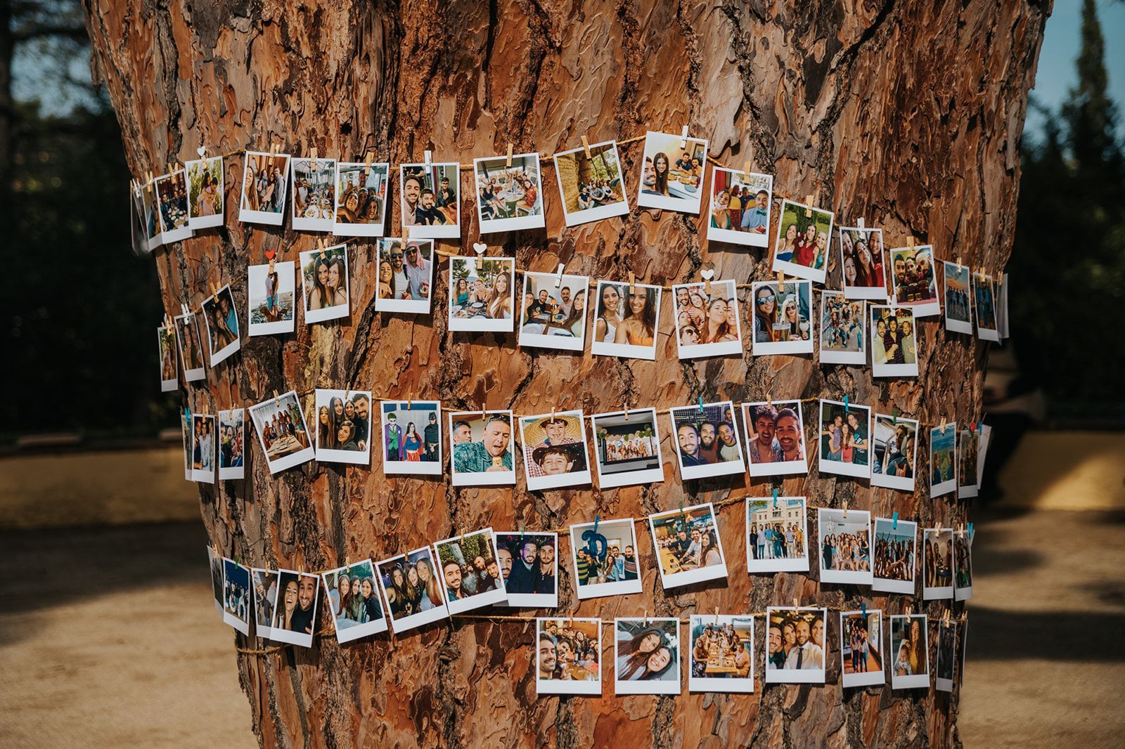bodas de ensueño masia Torre del pi