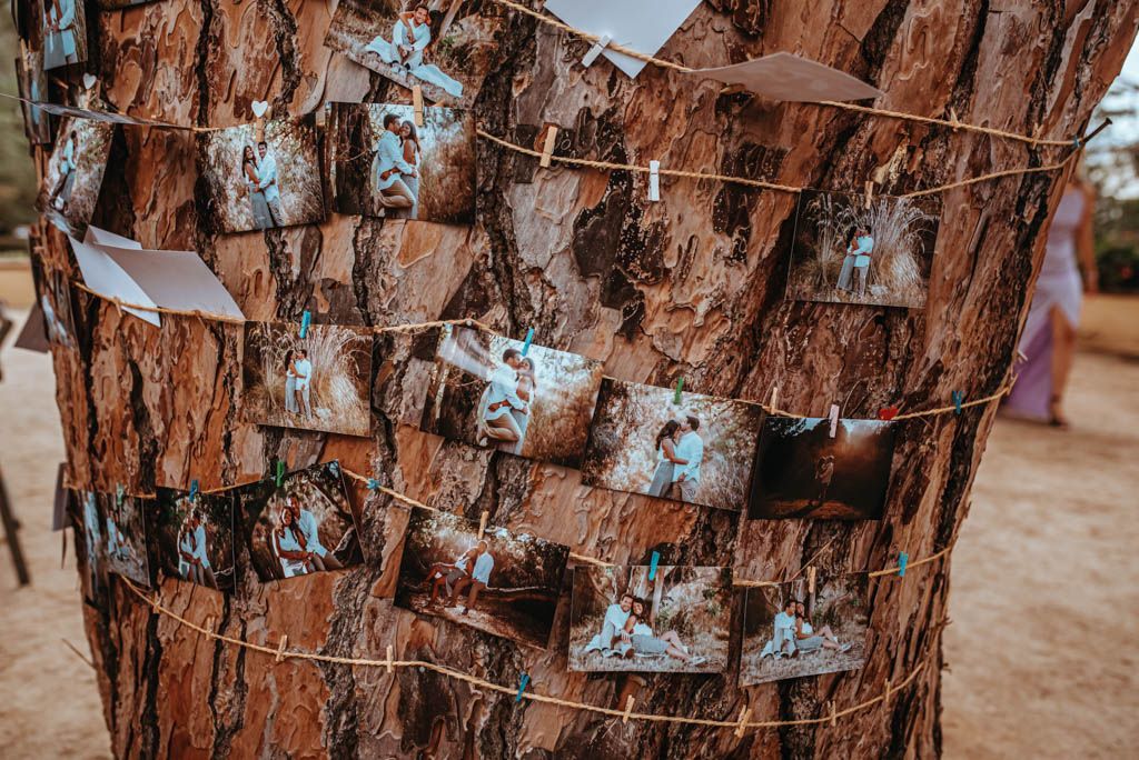 bodas personalizadas Torre del Pi