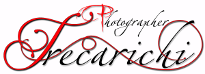 Vito+Trecarichi_logo