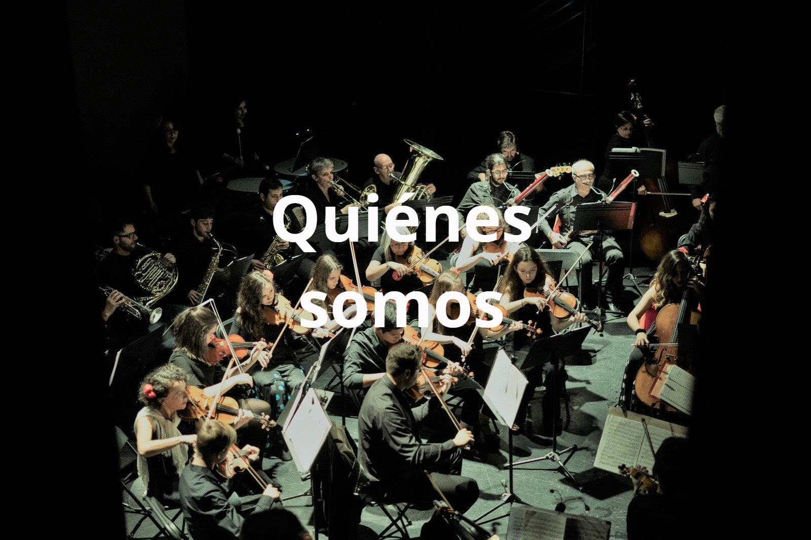 Quiénes somos