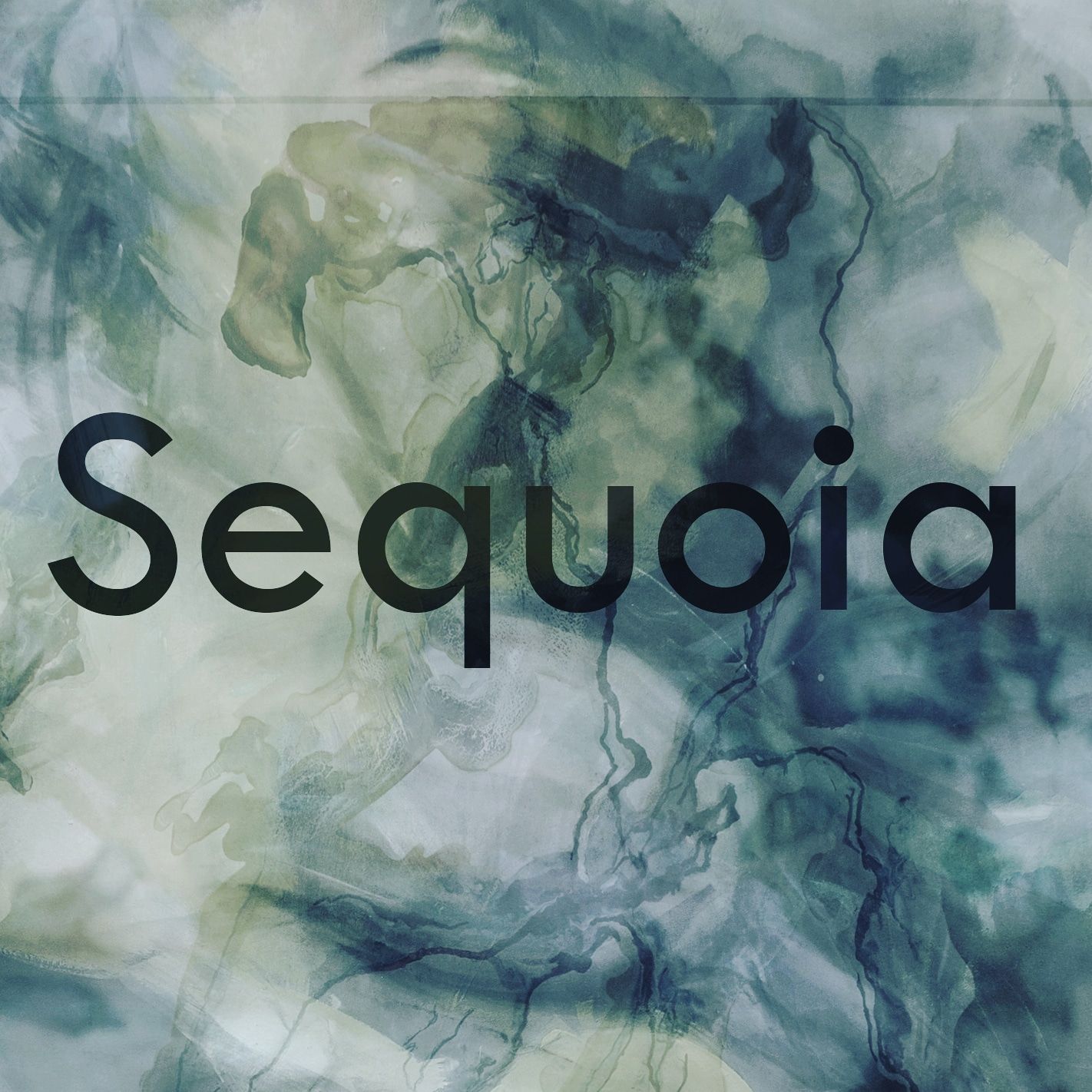 erstes Logo Der Schriftzug Sequoia vor einem blau, grau, grünen Hintergrund